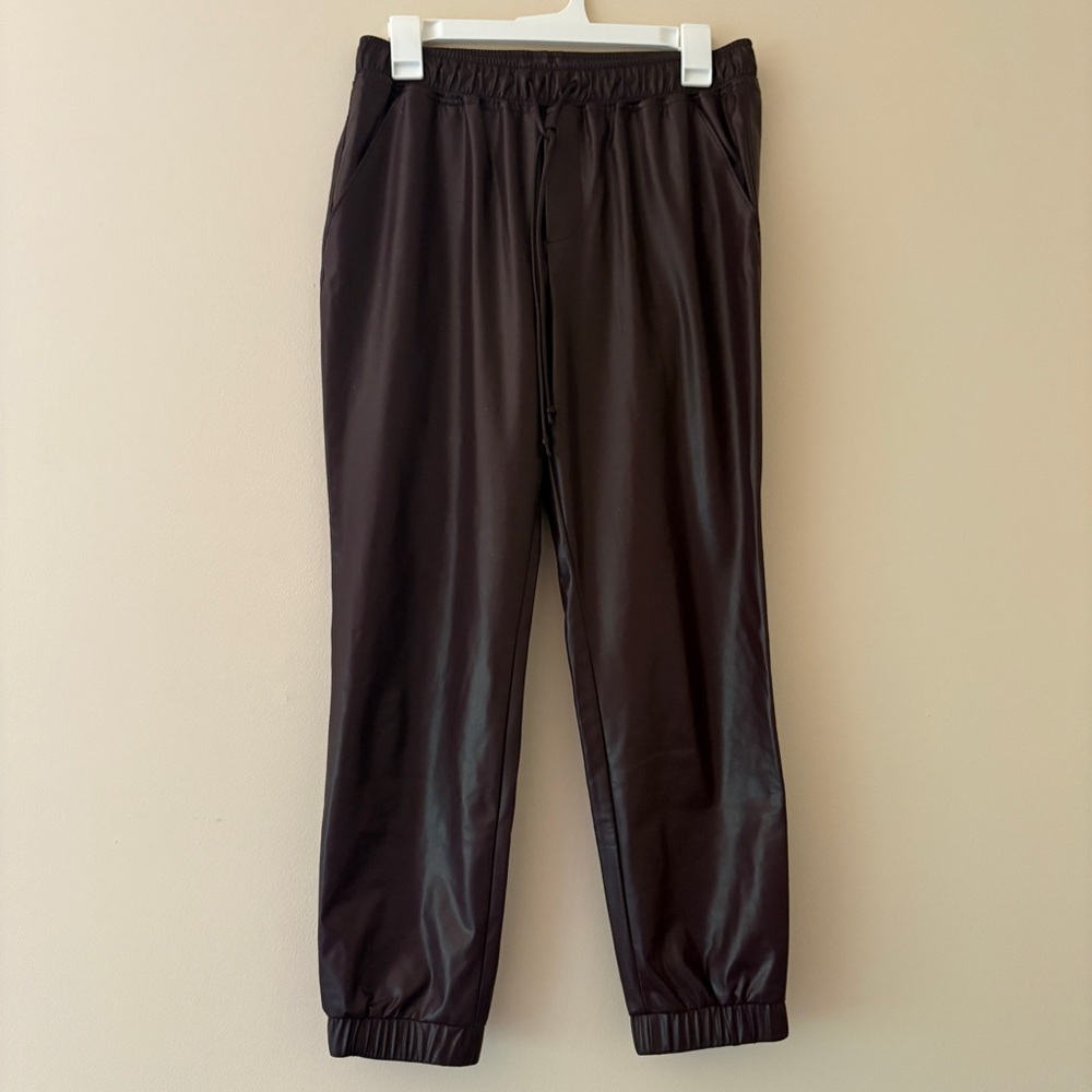 R Label Faux Leather Joggers Burgundy Small Vegan Leather Pants The Reset